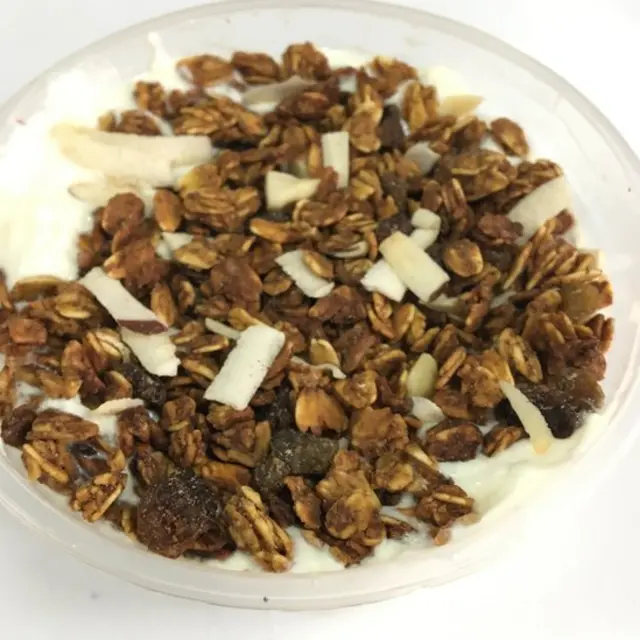 Greek yogurt and granola