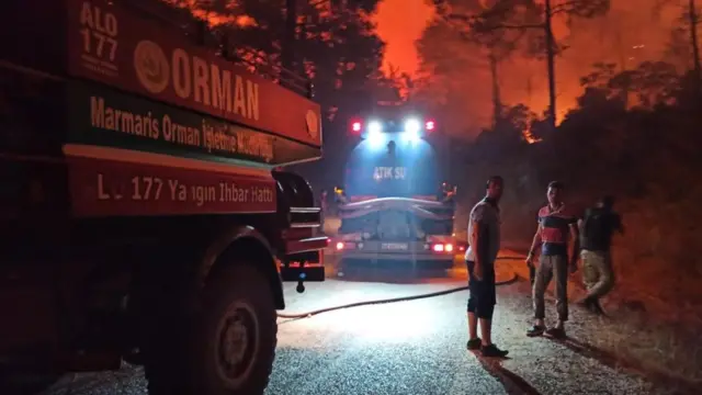 Marmaris'te orman yangını