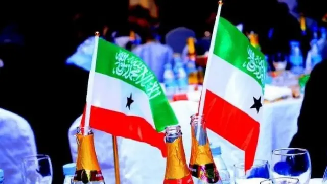 Calanka Soomaaliland oo lagu sharraxay goobta ay ka dhaceysay xafladda lagu xusayay 26-ka Juun