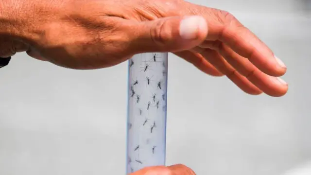 தமிழ்நாட்டில் அதிகரிக்கும் 'டெங்கு' காய்ச்சல் உயிரிழப்புகள்