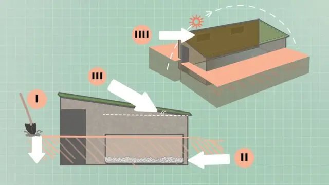 பசுமை பண்ணை