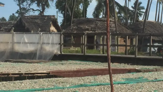 Ndoa za mitala zimeshamiri hasa maeneo ya pwani ya Tanzania