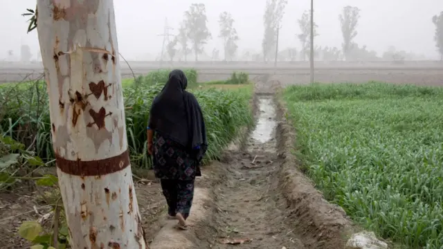 விவசாயம்