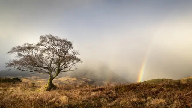 Arran
