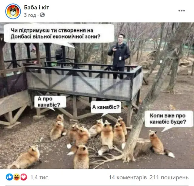 Баба і кіт
