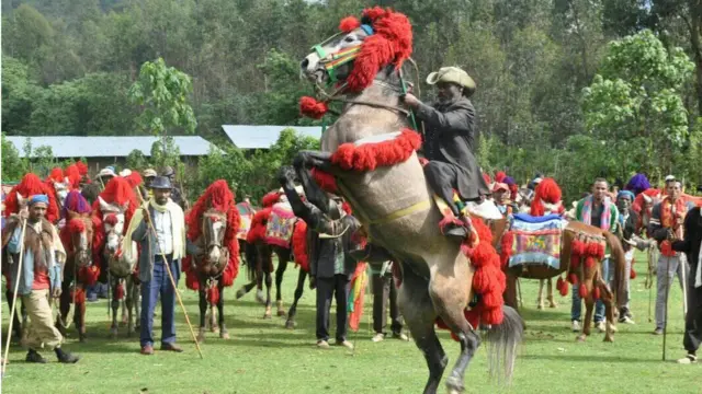 የአዊ ፈረሰኞች