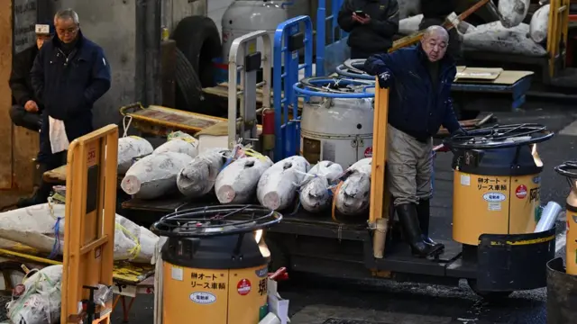 мороженый тунец