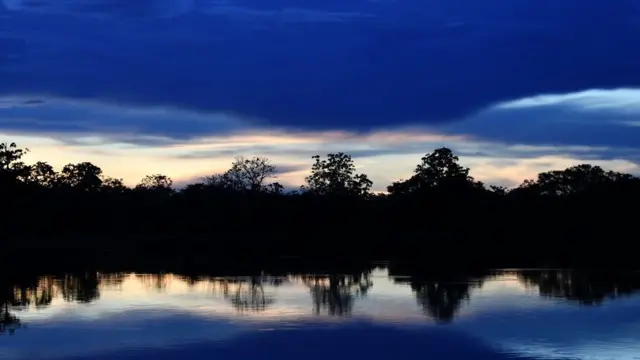 Fajar menyingsing di Amazon