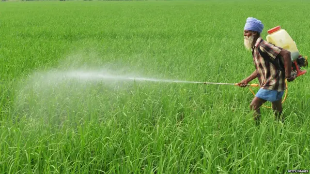 ਖੇਤੀਬਾੜੀ