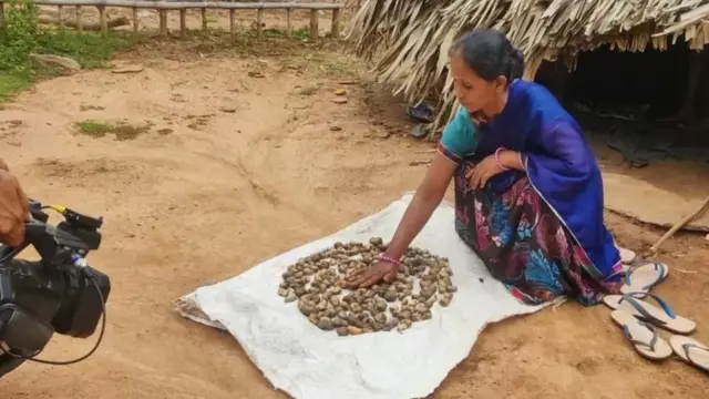 జీడిపిక్కలు