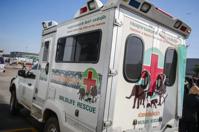 รถช่วยเหลือสัตว์ป่า