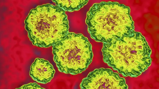 Virus de hepatitis C