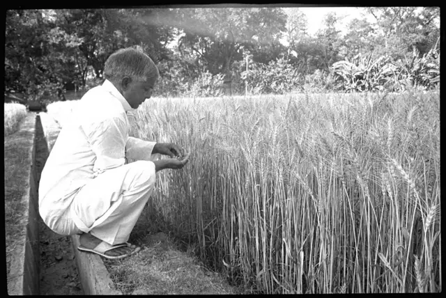 लालू यादव