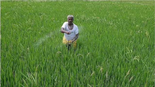 రైతు, ఆంధ్రప్రదేశ్