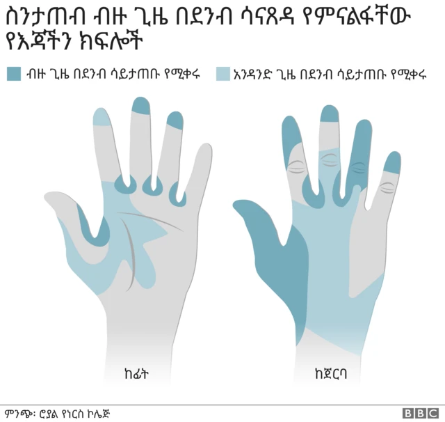 የእጃችን የፊትና የጀርባ ክፍል