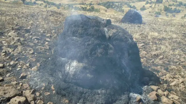 Tuullaa midhaanii gubate