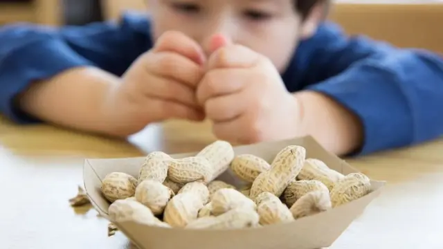 الفول السوداني