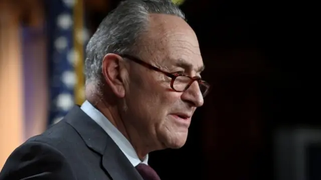 美国参议院多数党领袖查克·舒默