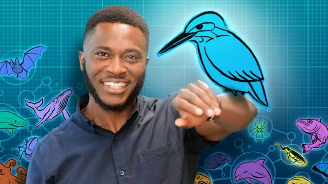 باتريك أيري ورسْم متحرك لطائر الرفراف (صائد السمك)