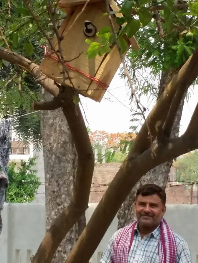 गौरैया बचाओ अभियान