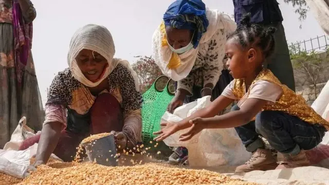 የእርዳታ እህል