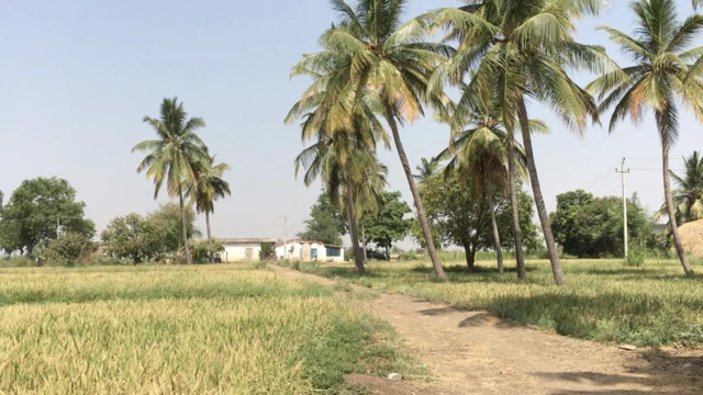 క‌ర్ణాట‌క‌లోని తెలుగు ఓట‌ర్ల మనోగతం