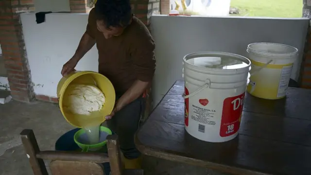 Elaboración de queso fresco venezolano.