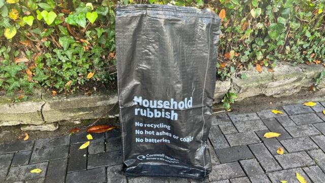 North Devon 'smart' bins could be rolled out in litter battle - BBC News