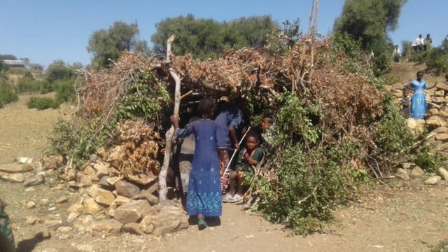 የዳስ ትምህርት ቤት