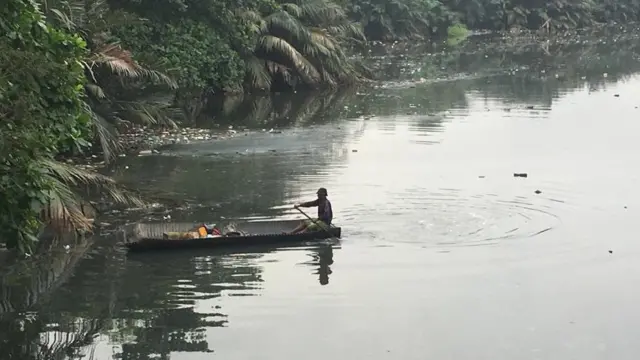 World Environmental Day theme 2021: Updates across Nigeria of how pipo dey mark WED