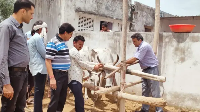 లంపీ వైరస్