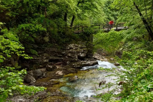 Suara-suara yang menenangkan