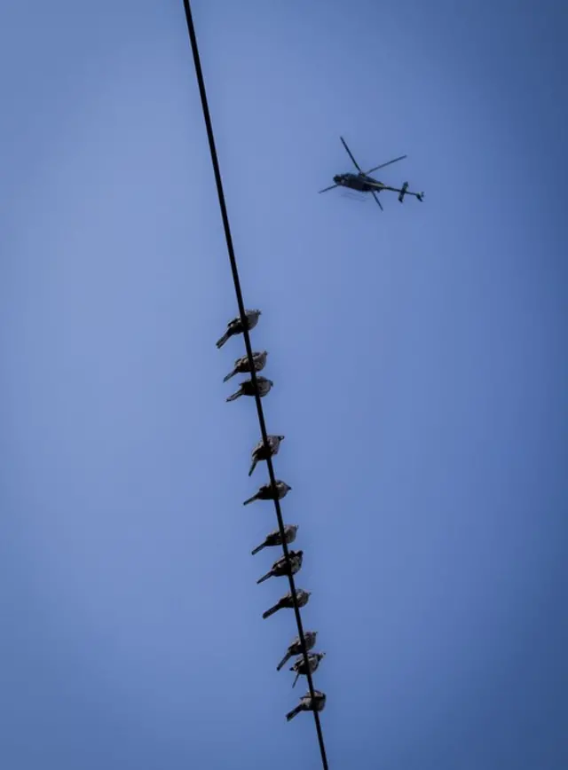 Aves descansan en un cable mientras pasa un helicóptero.