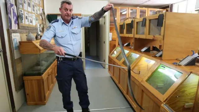 ইয়ান মিচেল