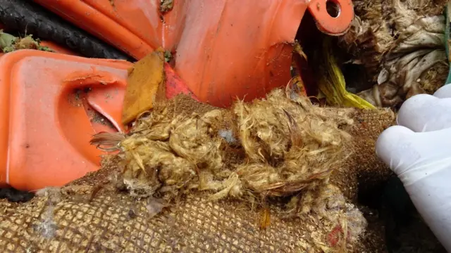 கழிவுகள்