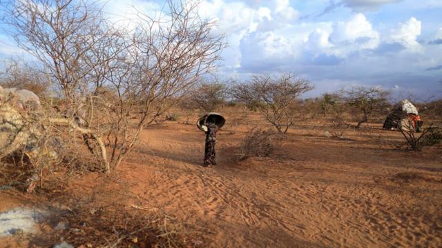 الصومال يعاني من الجفاف