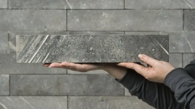 బయోమాసన్ అనే స్టార్టప్ సంస్థ ఇసుక, బ్యాక్టీరియా మిశ్రమంతో బయో కాంక్రీట్ తయారుచేస్తుంది.