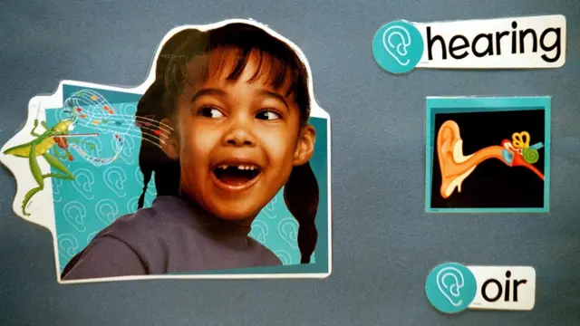 Учебный плакат для первоклассников переводит испанское слово oir на английский язык, и все это сопровождается тематическими картинками. Birdwell Elementary School в Техасе, 11 сентября 2003 года