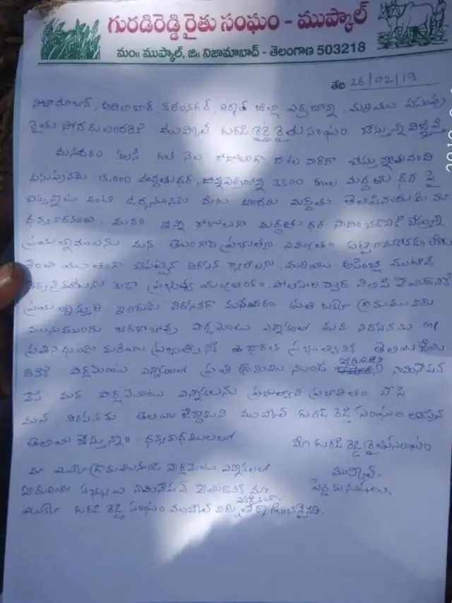 పసుపు, ఎర్రజొన్న రైతులు