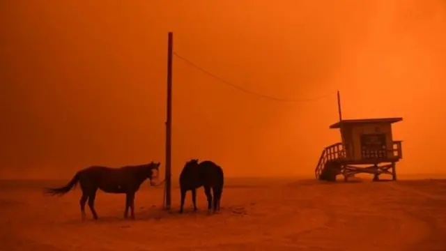 கலிஃபோர்னியாவில் காட்டுத்தீ