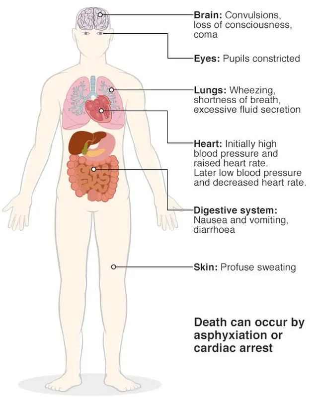 สารพิษทำลายประสาทที่ใช้วางยาอดีตสายลับรัสเซีย