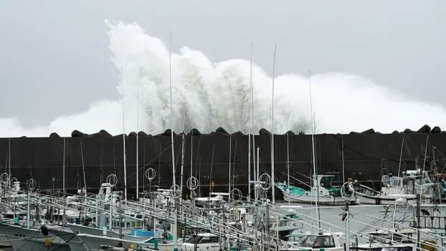 طوفان هاگیبیس ژاپن