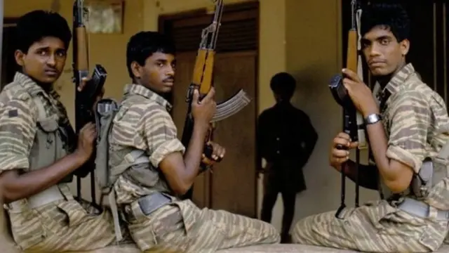 කොටි සංවිධානය