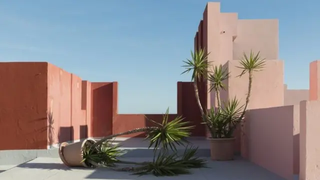 مسابقة سوني العالمية للتصوير الفوتوغرافي