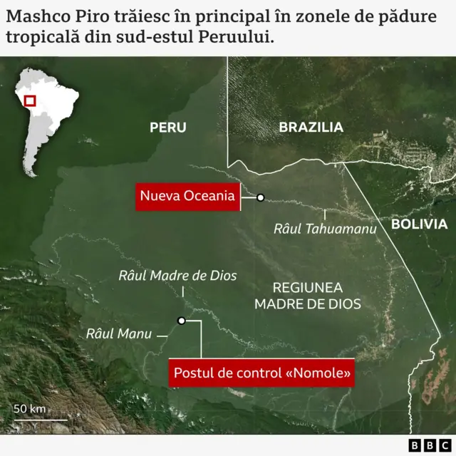 Hartă care arată sud-estul Peruului și zonele din Brazilia și Bolivia din jur, evidențiind regiunea Madre de Dios. Harta include râurile Manu, Madre de Dios și Tahumanu. Două marcaje roșii indică „Nueva Oceania” lângă râul Tahumanu și postul de control „Nomole” lângă râul Manu. O mică hartă inserată a Americii de Sud arată poziționarea în interiorul Peruului. În stânga jos se află o scară de 50 km și 50 mile. Textul de sus spune: „Mashco Piro trăiesc în principal în zonele de pădure tropicală din sud-estul Peruului.” Branding BBC vizibil în dreapta jos.