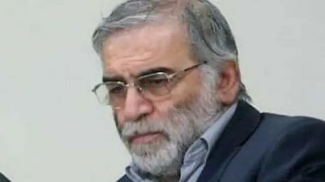 محسن فخری زاده