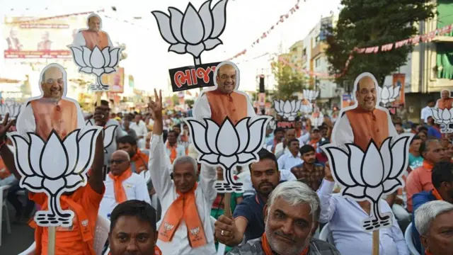 ભાજપ સમર્થકો