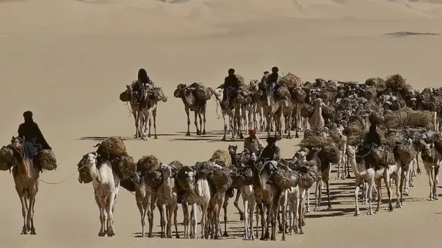Caravans of salt in the desert of Tenere in Niger. (Photo by Jean-Luc MANAUD/Gamma-Rapho via Getty Images)