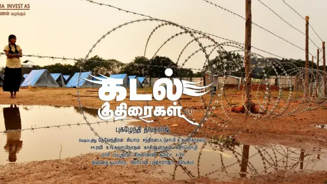 கடல் குதிரைகள்