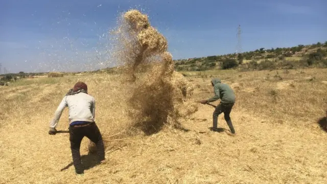 መንኣሰይ ገብረኣነንያ ገብረኪሮስን ግርማይ ካሕሳይን